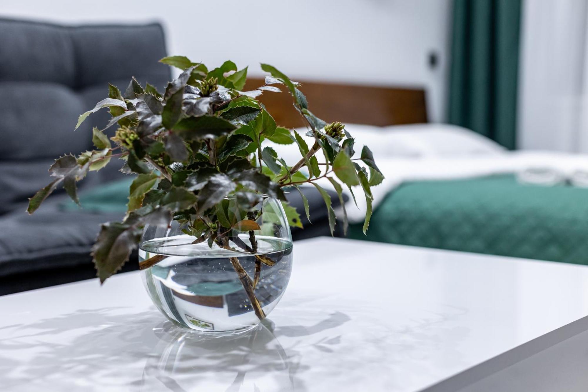 Cozy Apartments Center Lviv Ngoại thất bức ảnh